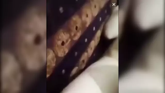 Аланская девушка сосет любимому на камеру